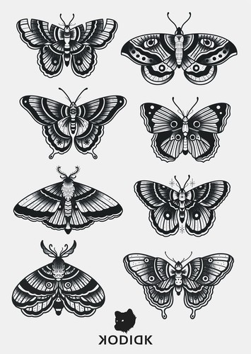 Black Butterflies 