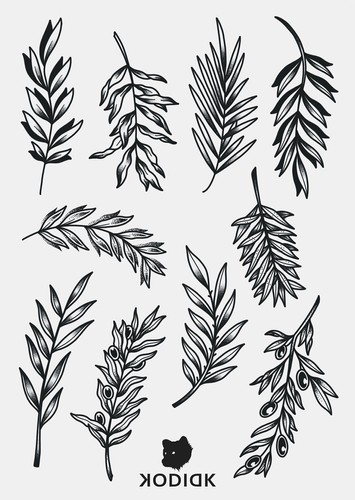 Leaves 