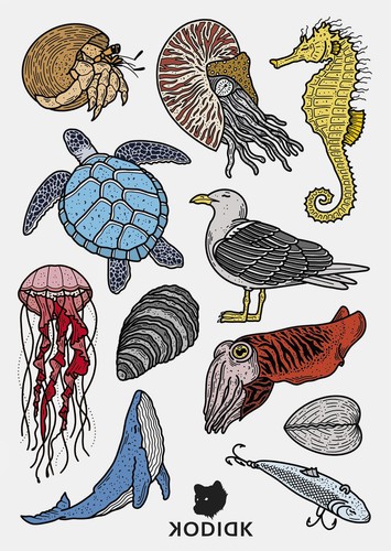 Sea Animals 