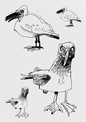 Seagull 