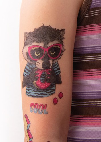Retro Racoon