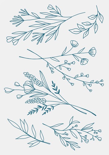 Wild Flowers