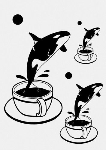 Drinking Orca