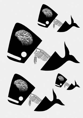 Whale