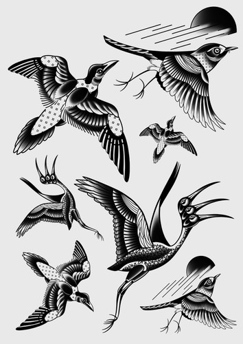 Unusual Birds