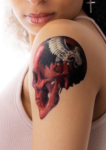 Crane Skull