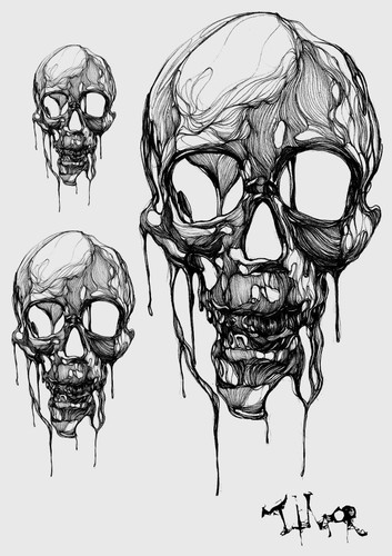 Skull