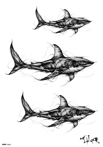 Shark