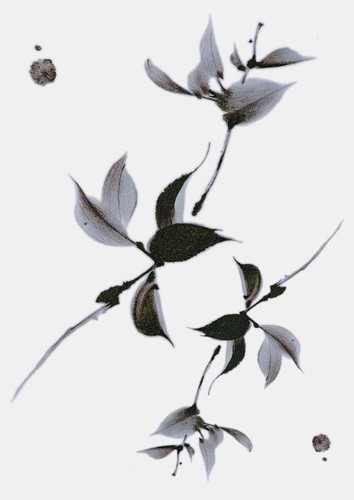Cherry Branch