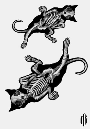 R.I.P Cat