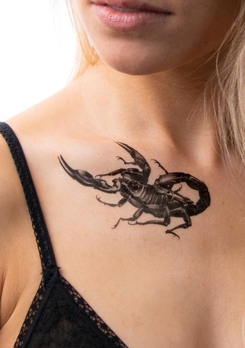 Scorpion
