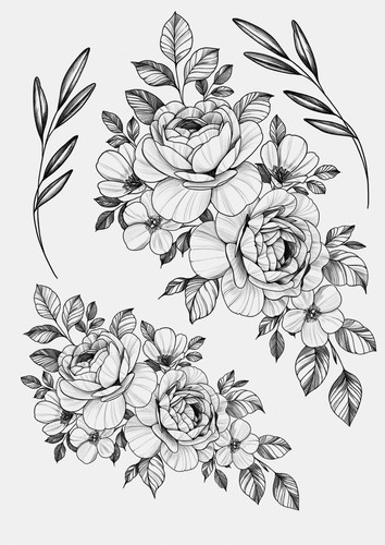 Roses