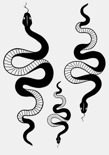 Snake