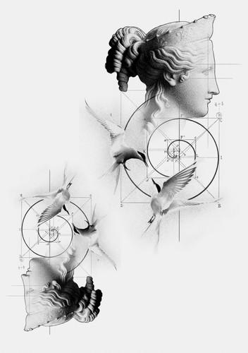 Calculated Beauty 