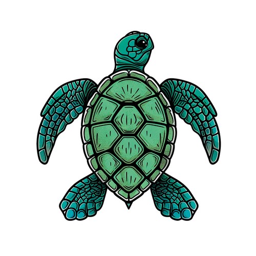 Sea Turtle Sea Turtle