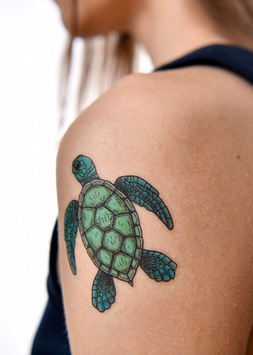 Sea Turtle Sea Turtle