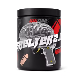 Shelter 2.0 (450g), BigZone Shelter 2.0 (450g), BigZone