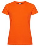 visibility orange_x000D_<br>