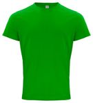 apple green