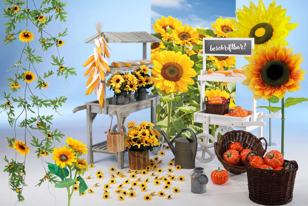 Herbstdeko-picture