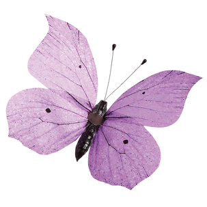 Mariposa decorativa púrpura, 30 cm