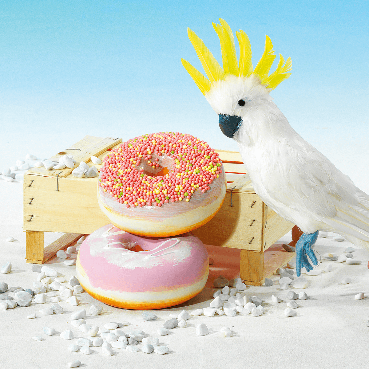 Donut décoratif avec perles en sucre 20 cm Ø multicolore - 6