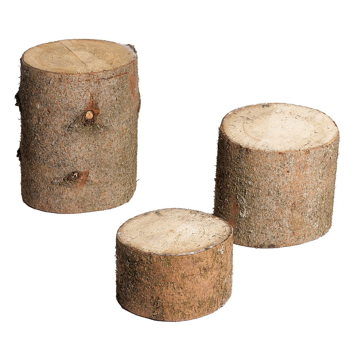 Deko-Holzstämme, Set à 3 Stück - 0