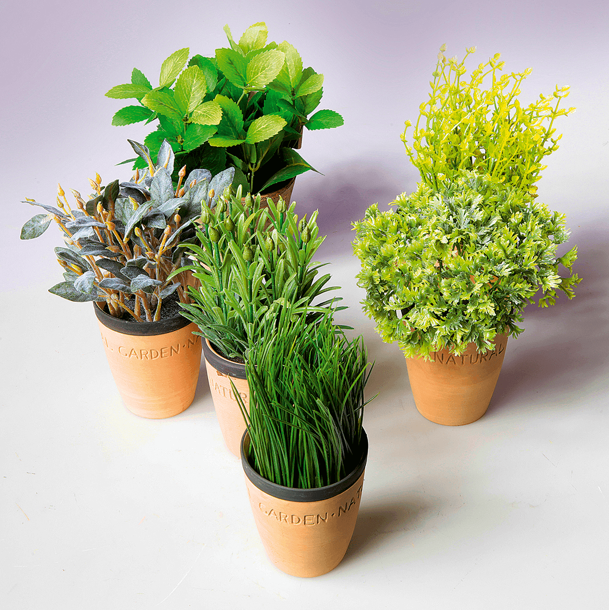 Decorative mint in clay pot 20 cm - 3