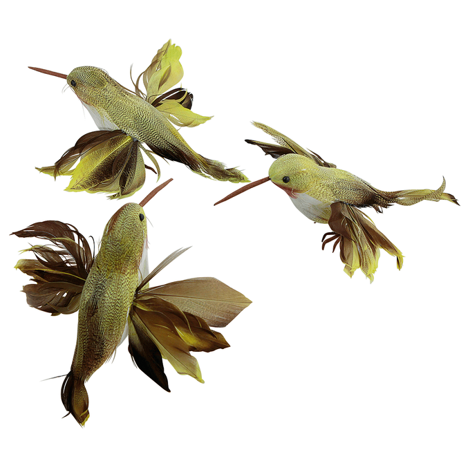 middleImage