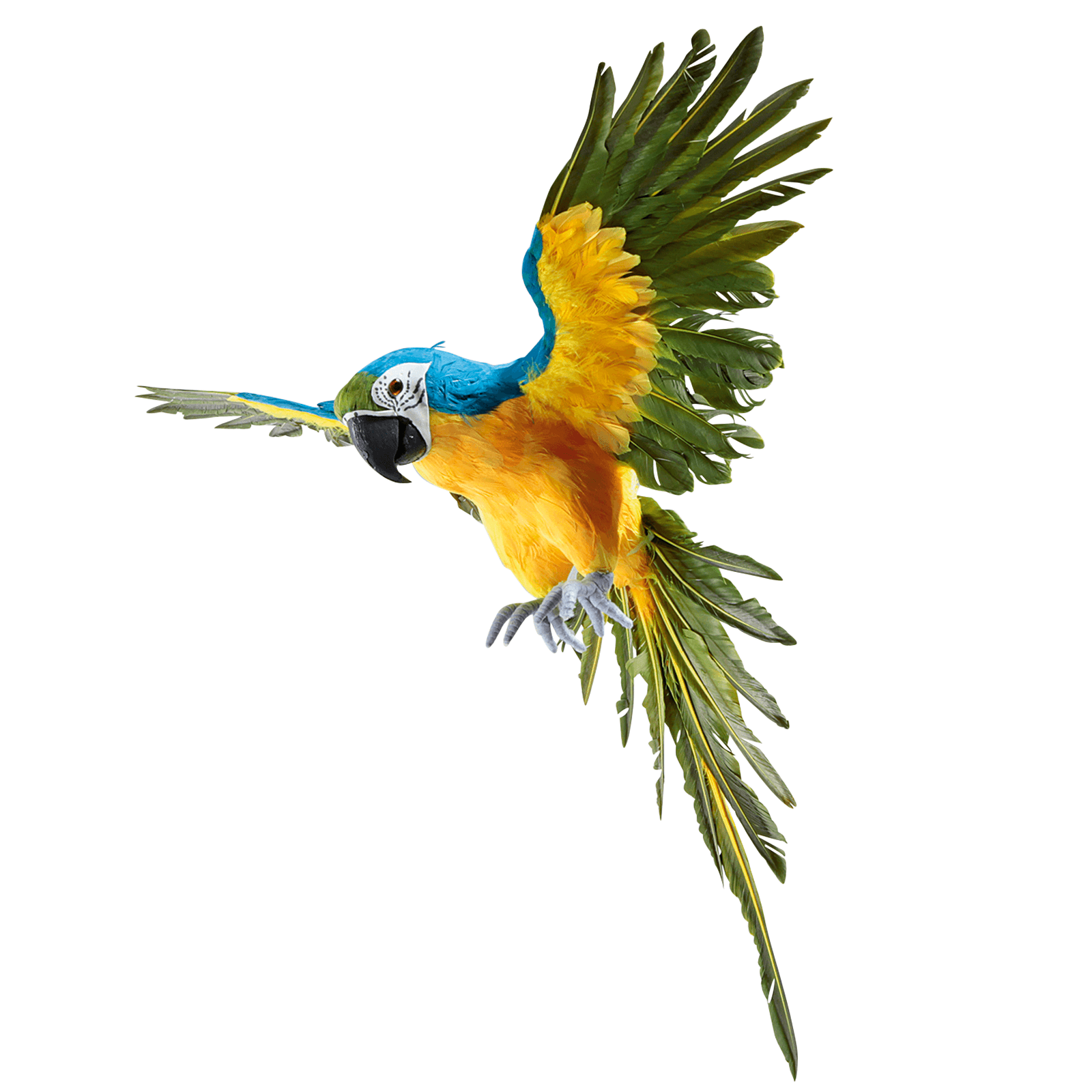 Deko Papagei blau-gelb 77 cm lang - 1