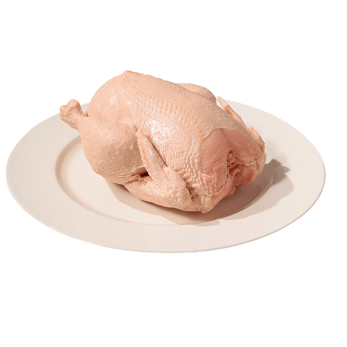 Poulet cru alimentaire factice 23 cm - 1