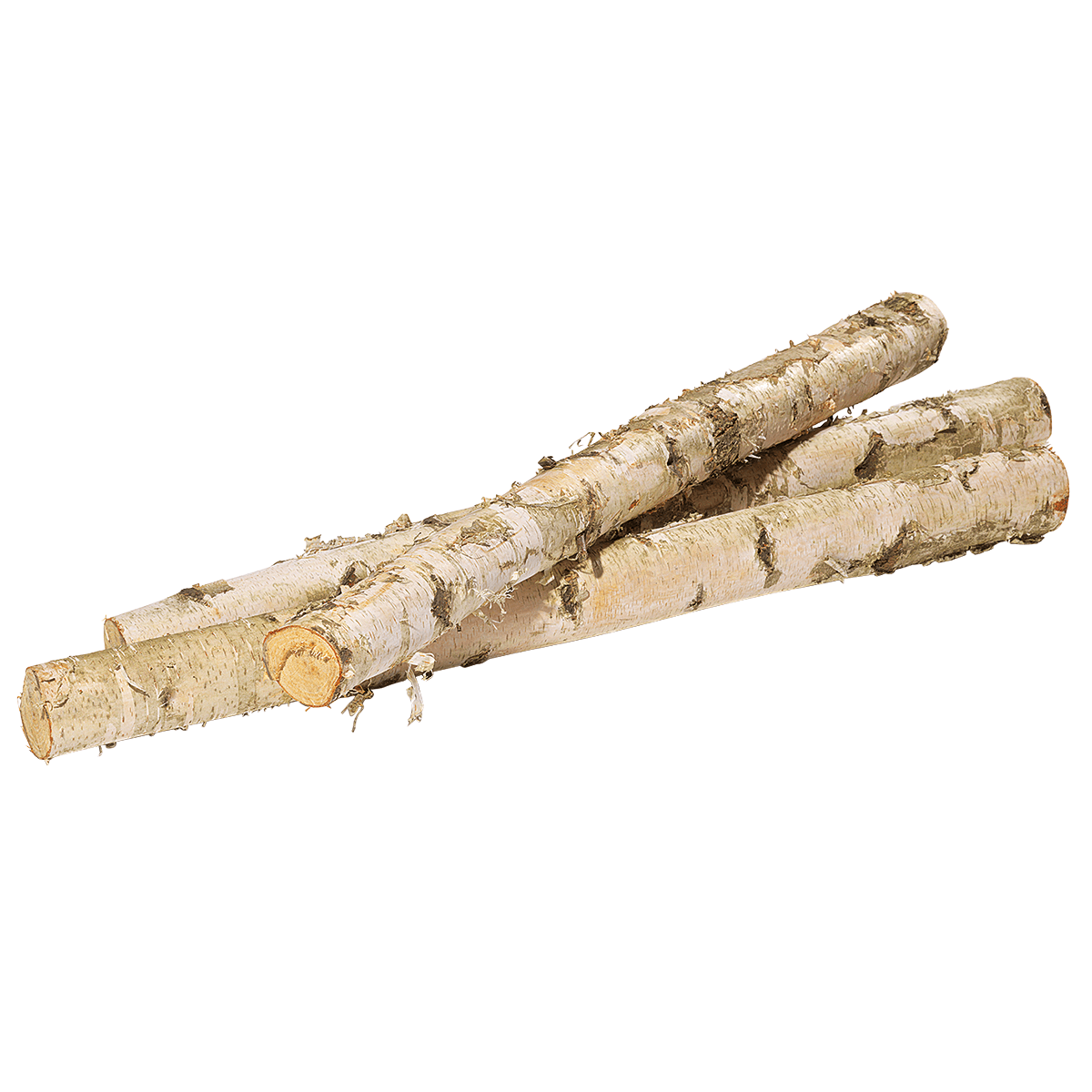 Tronco de abedul 100 cm aprox. 6-10 cm Ø - 2