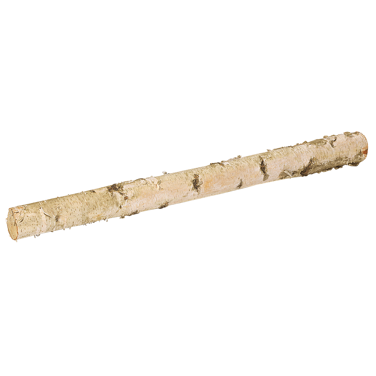 Tronco de abedul 100 cm aprox. 6-10 cm Ø - 1