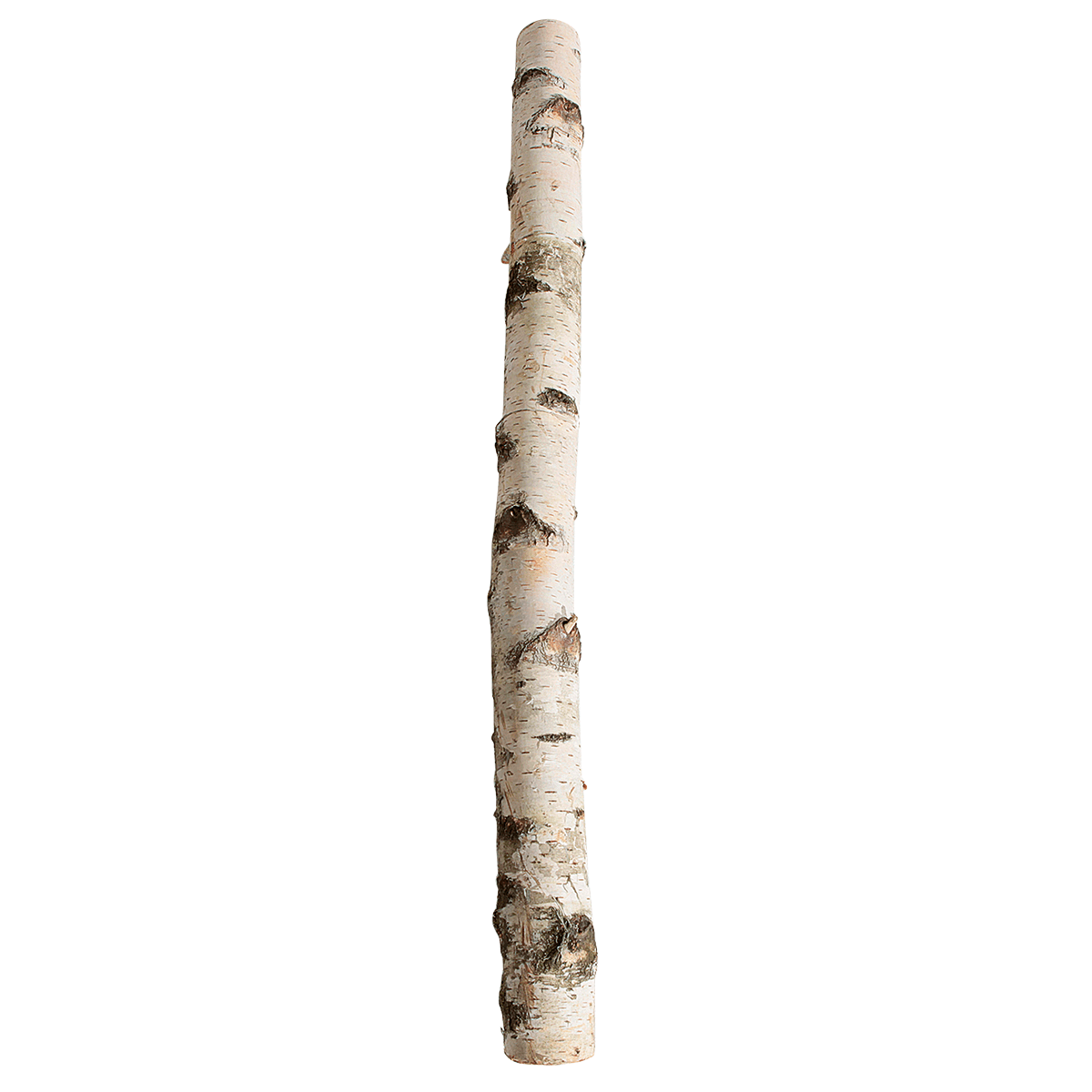 Tronco de abedul 100 cm aprox. 6-10 cm Ø - 0