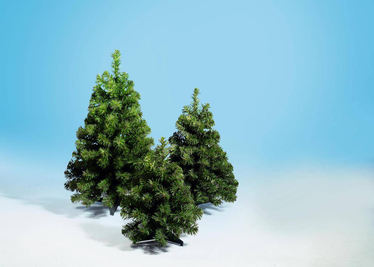 Árbol de mesa, altura 60 cm - 2 Árbol de mesa, altura 60 cm - 2