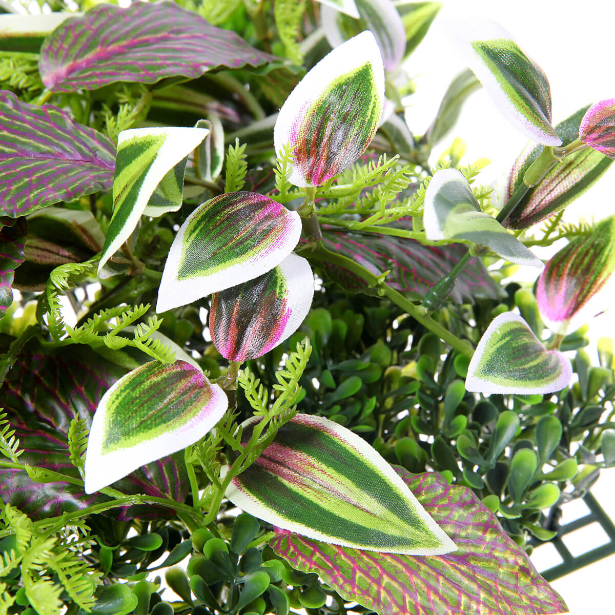 Künstliches Fittonia-Buchs-Paneel 25 x 25 cm - 3