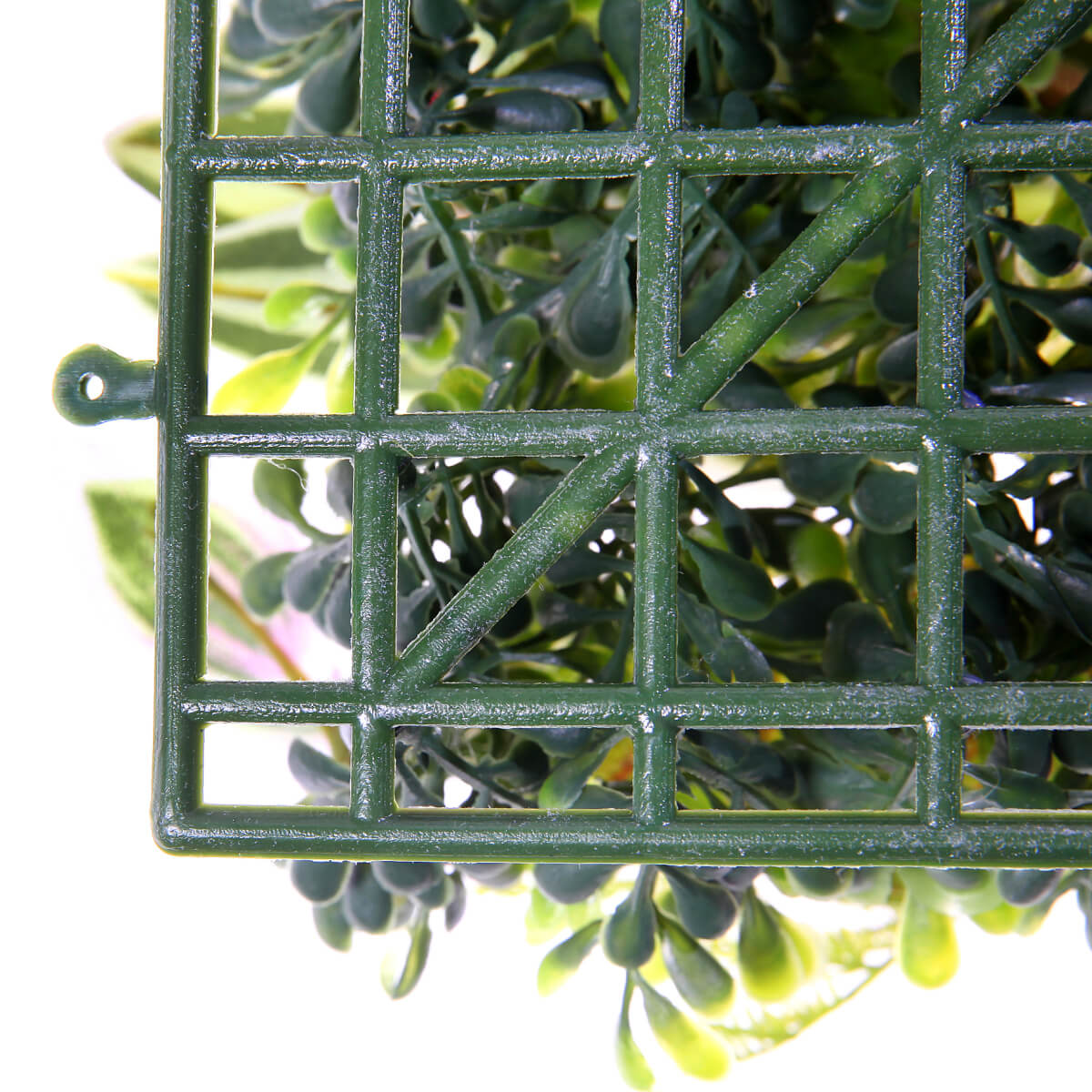 Künstliches Fittonia-Buchs-Paneel 25 x 25 cm - 4