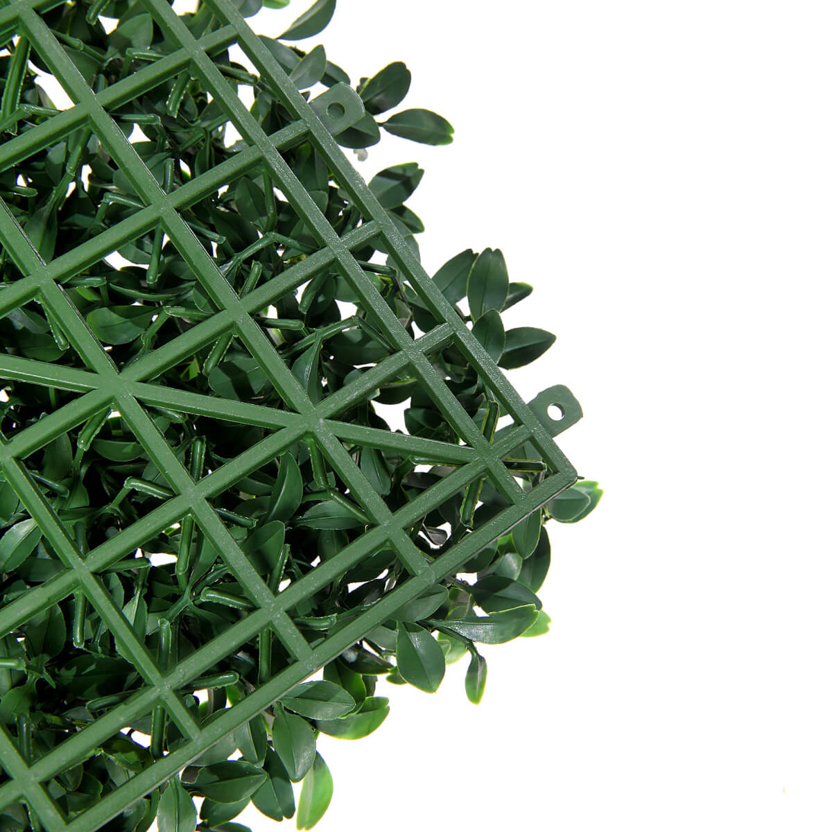 Künstliches Fittonia-Buchs-Paneel 25 x 25 cm - 5