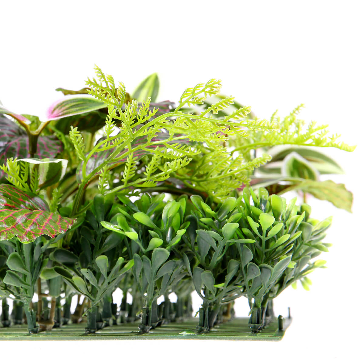 Künstliches Fittonia-Buchs-Paneel 25 x 25 cm - 6