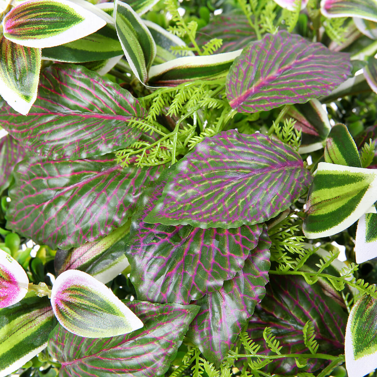 Künstliches Fittonia-Buchs-Paneel 25 x 25 cm - 2