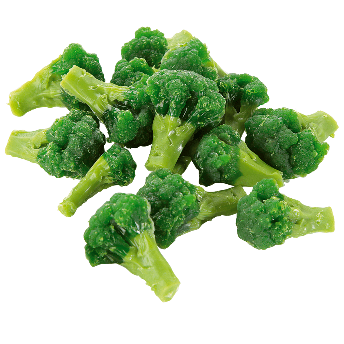 Broccoli blanched food replica, 100 g - 0