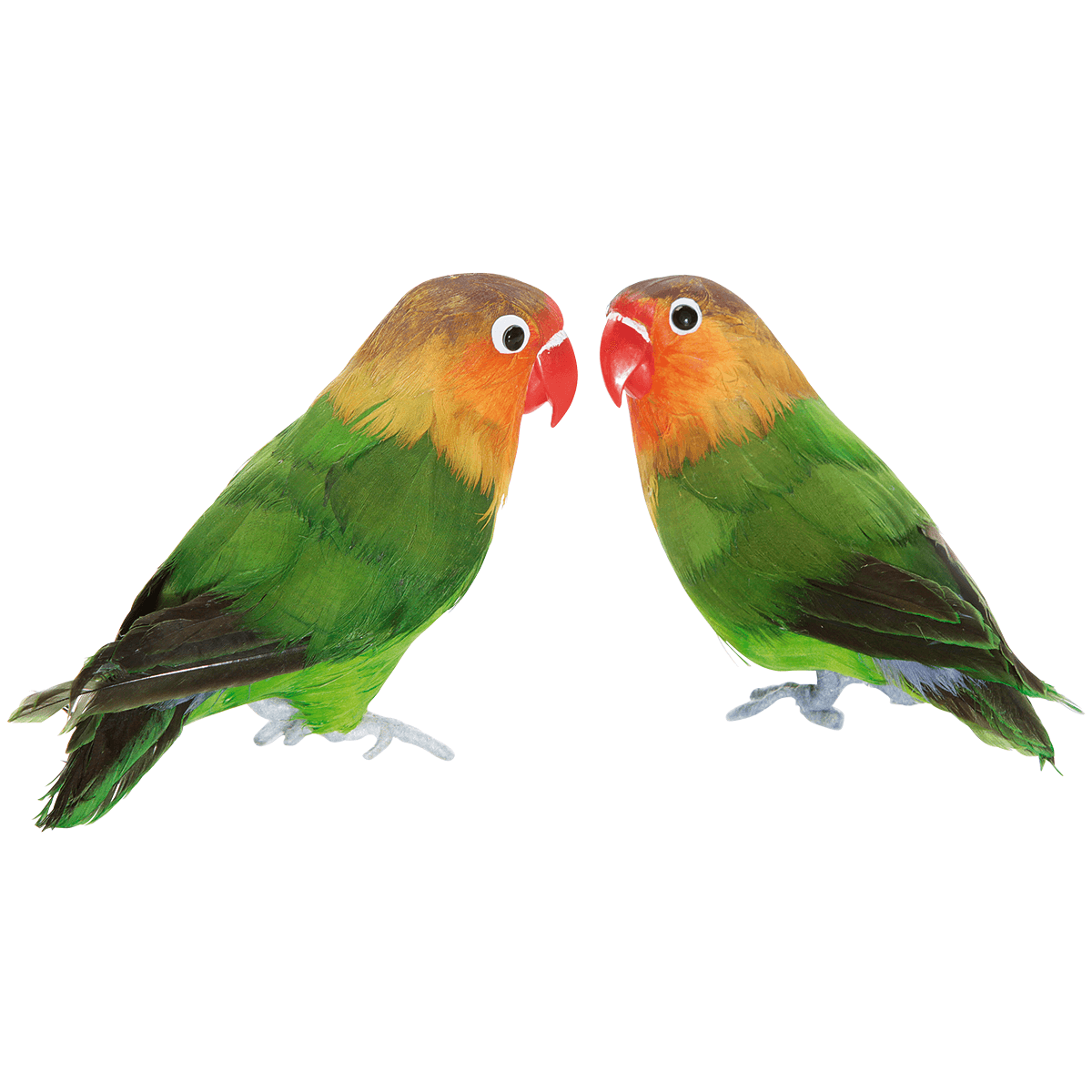 Inseparable de Namibia decorativo sentado 20 cm, 2 piezas - 1