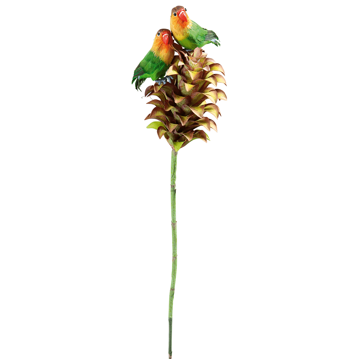 Inseparable de Namibia decorativo sentado 20 cm, 2 piezas - 5