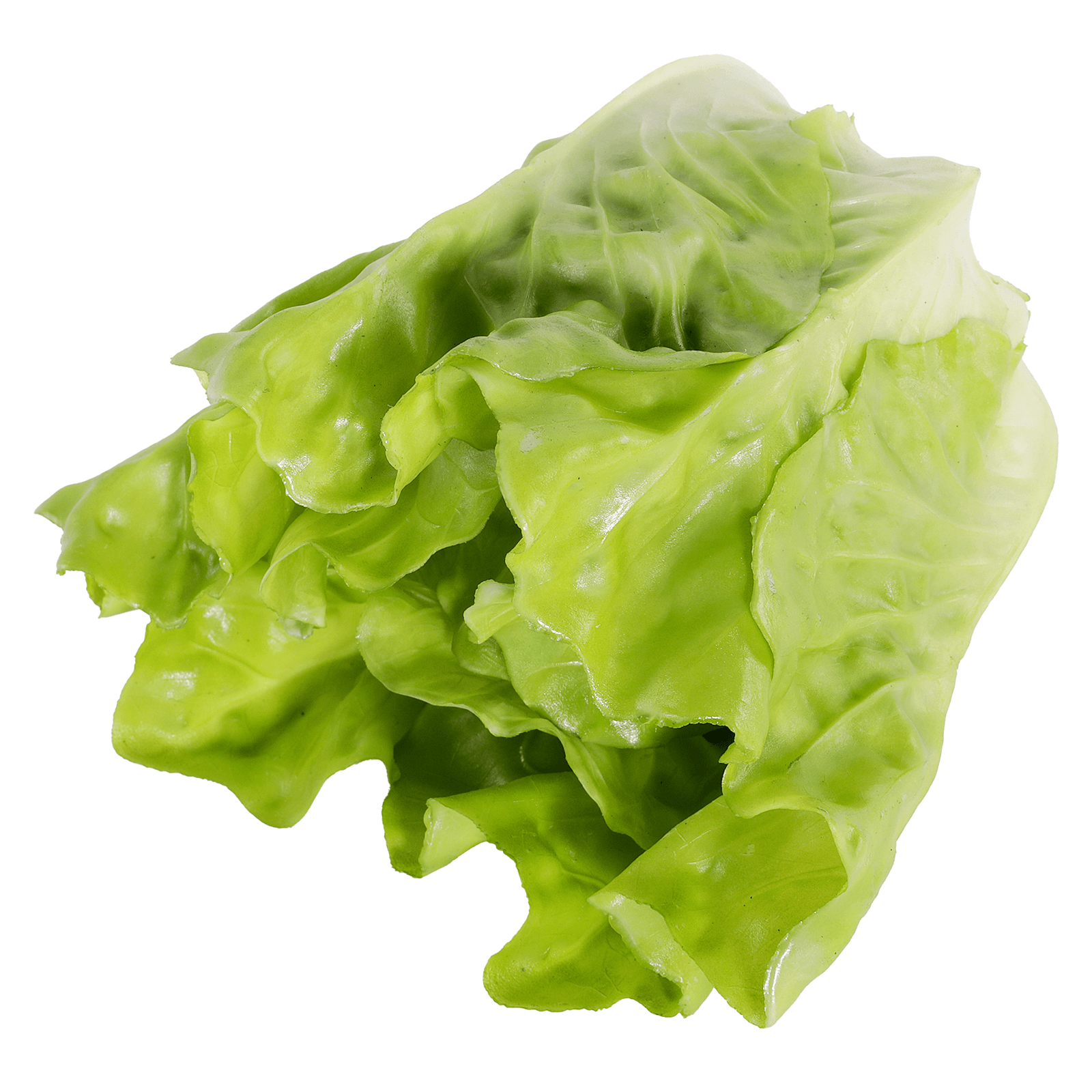 Romaine lettuce food replica - 0