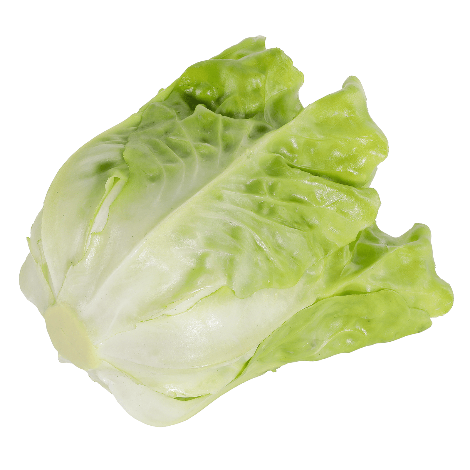 Romaine lettuce food replica - 1