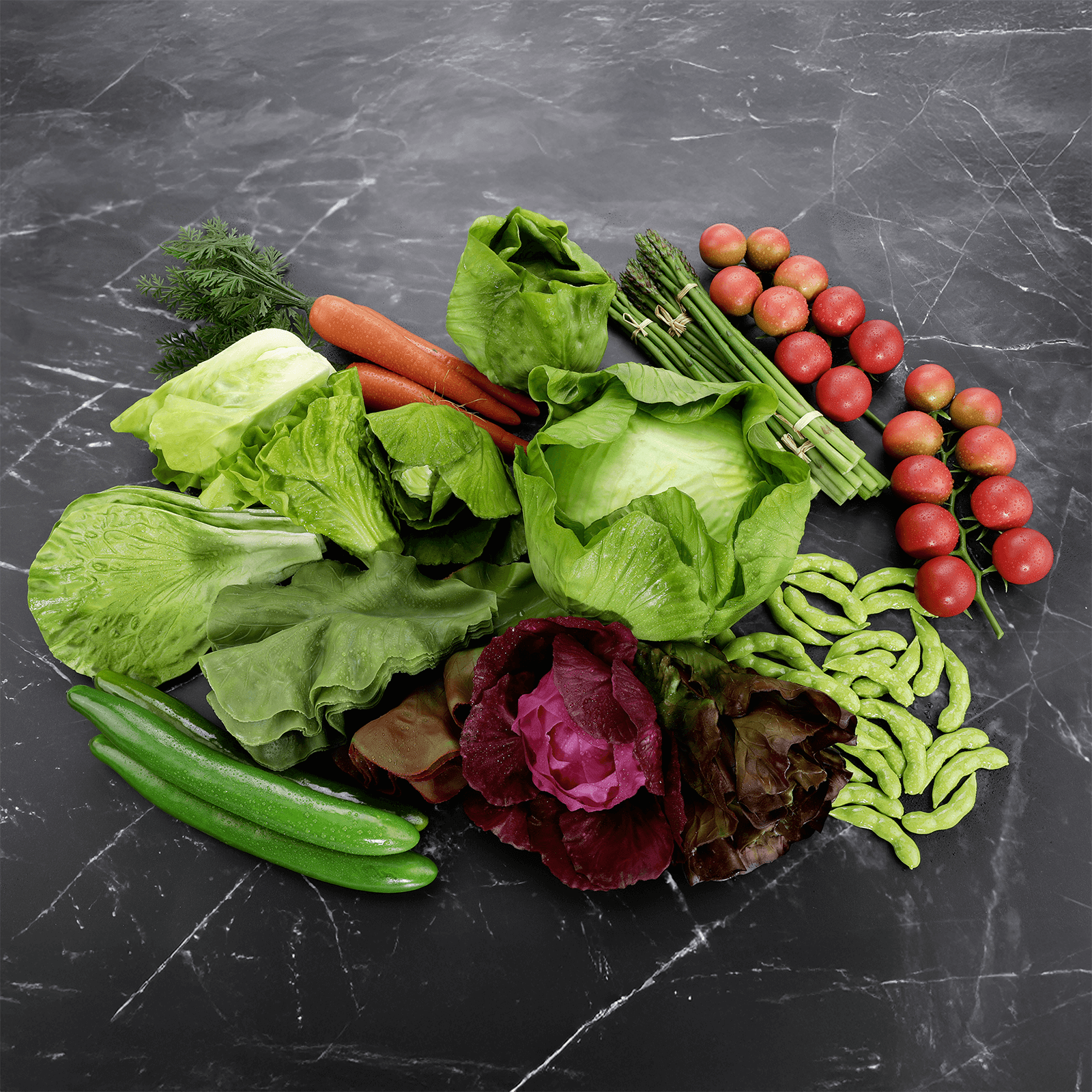Romaine lettuce food replica - 2