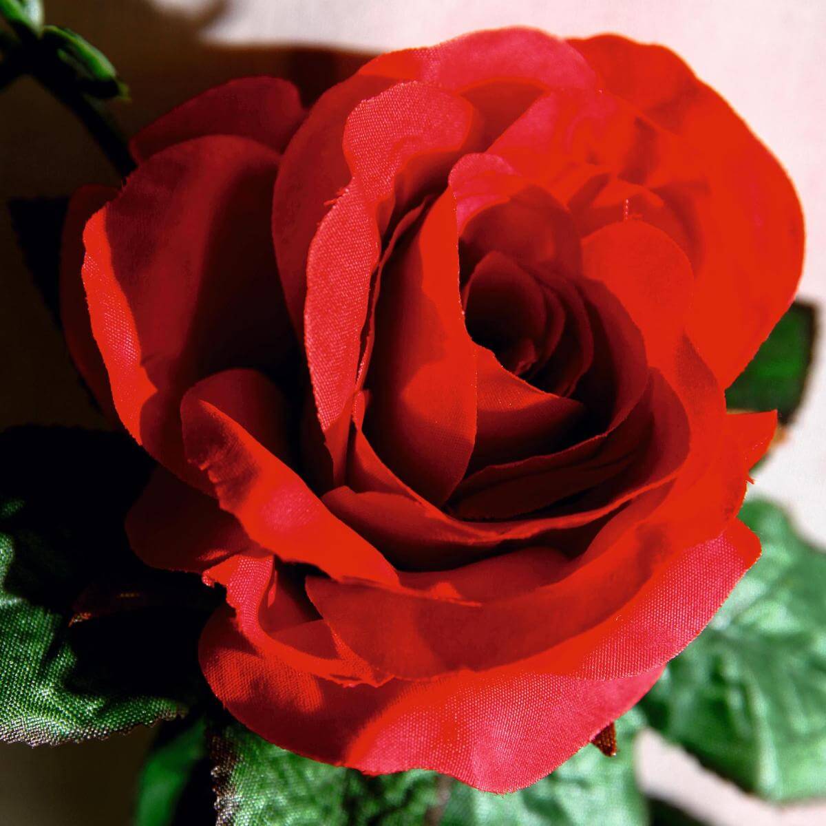 Artificial roses tendril 180 cm, red - 2