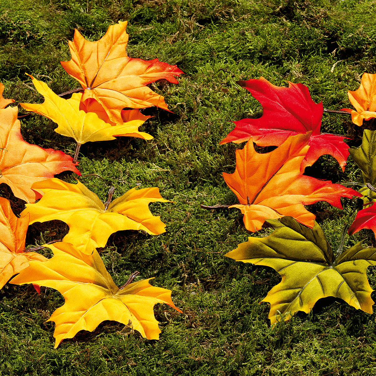 Maple art sheets, pack of 30, orange - 4