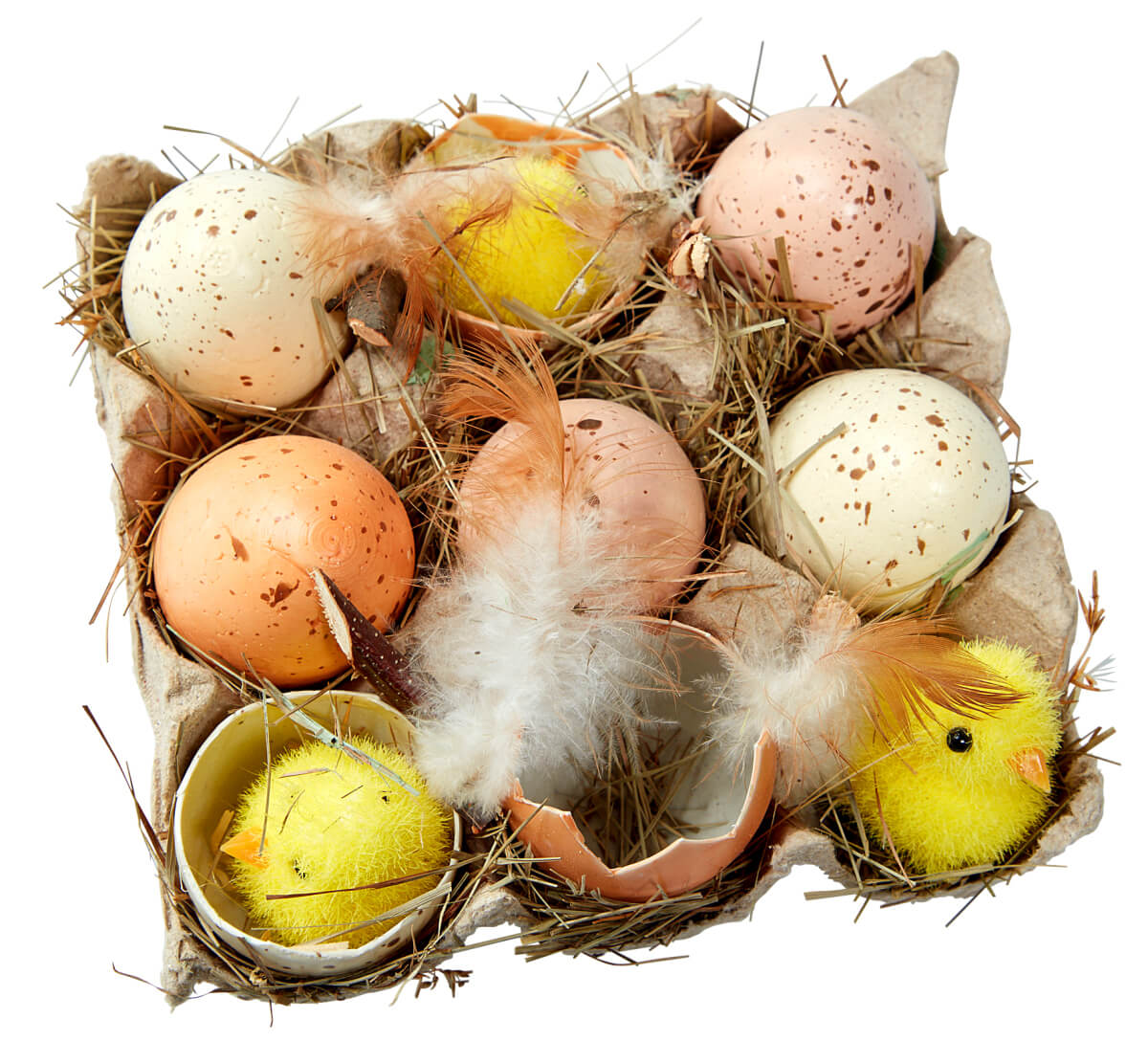 Boîte d’œufs et de poussins - 1