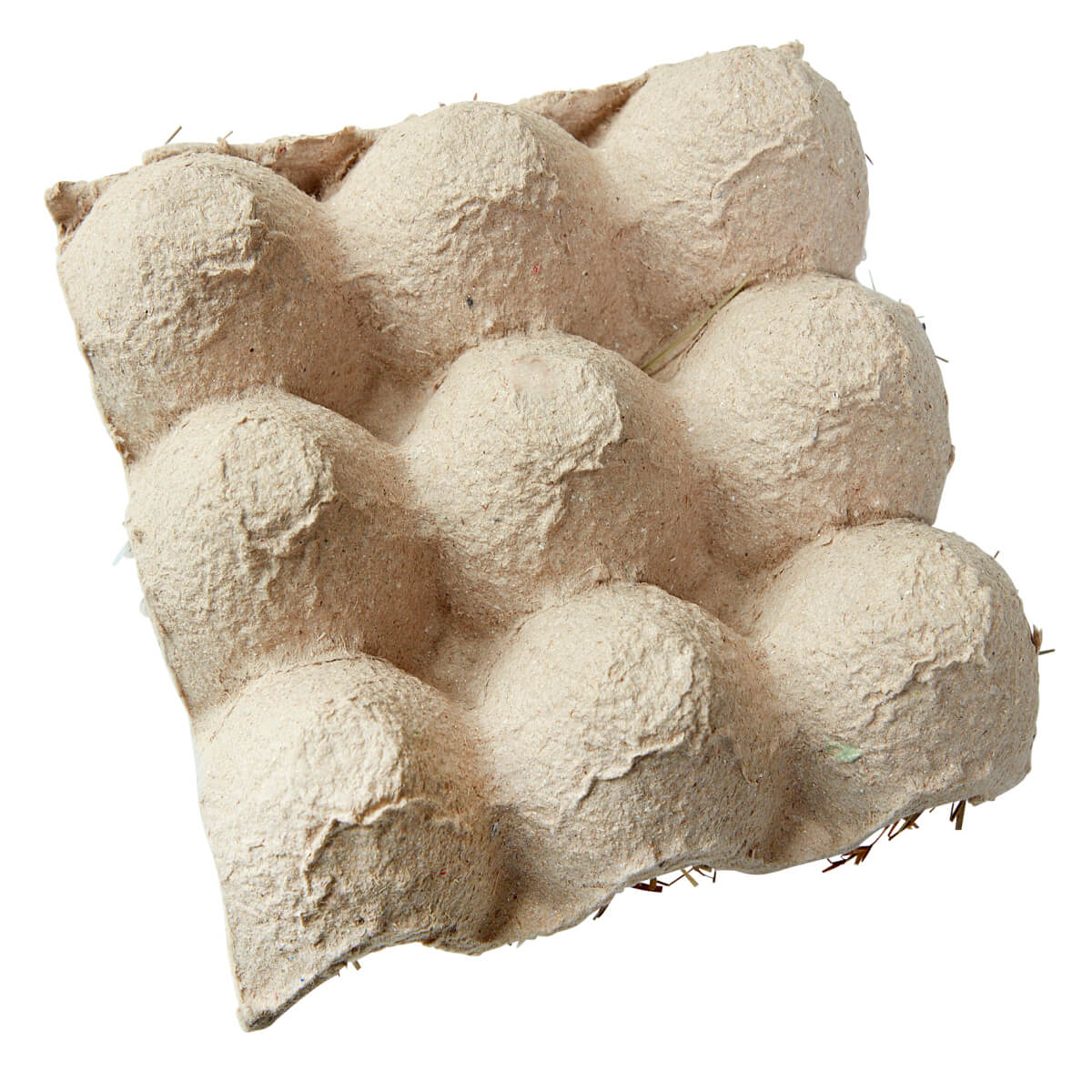Boîte d’œufs et de poussins - 3